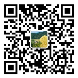 快盈安卓下载
